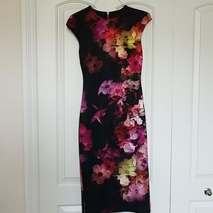 Brand New Beautiful Fitted Ted Baker Dress